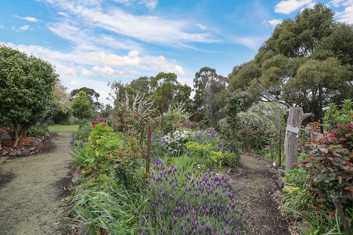 15 Ryans Lane, Coragulac, VIC, Coragulac - Thumbnail 3