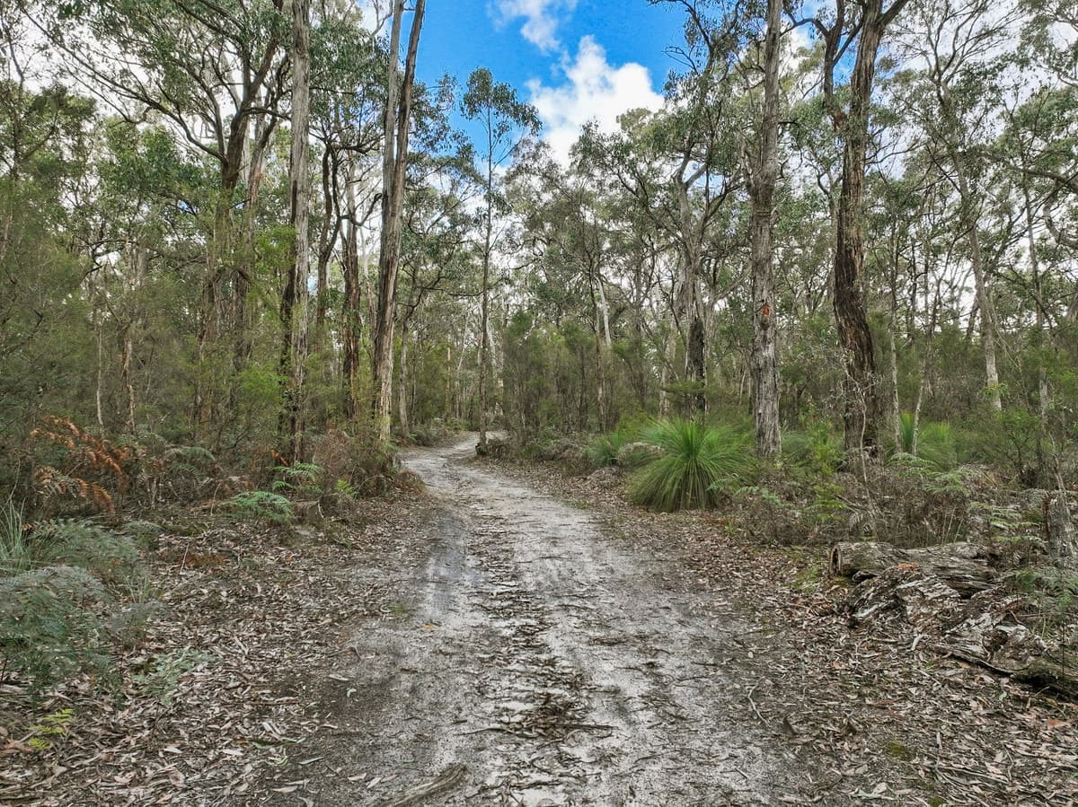 245 McCalls Road, Yeodene, VIC, Yeodene - Thumbnail 2