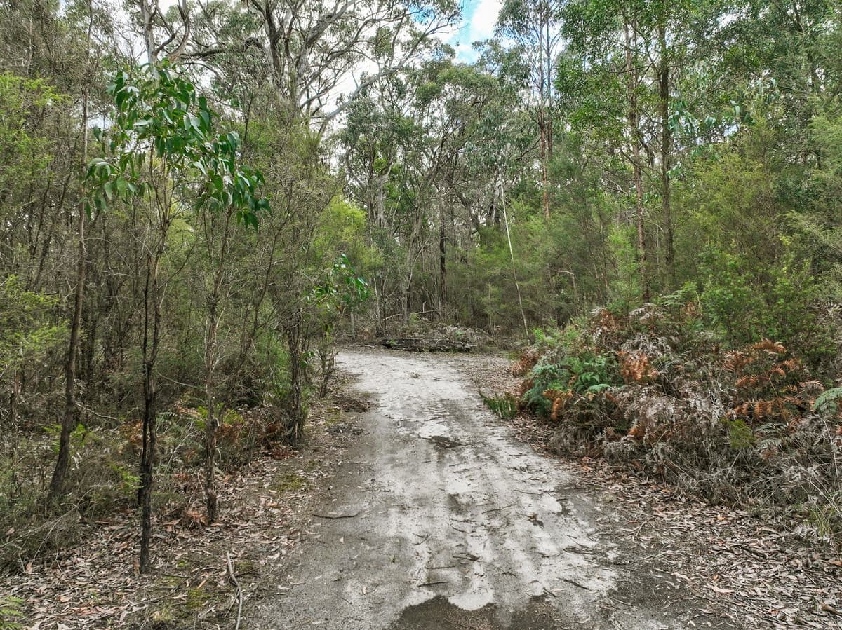 245 McCalls Road, Yeodene, VIC, Yeodene - Thumbnail 3