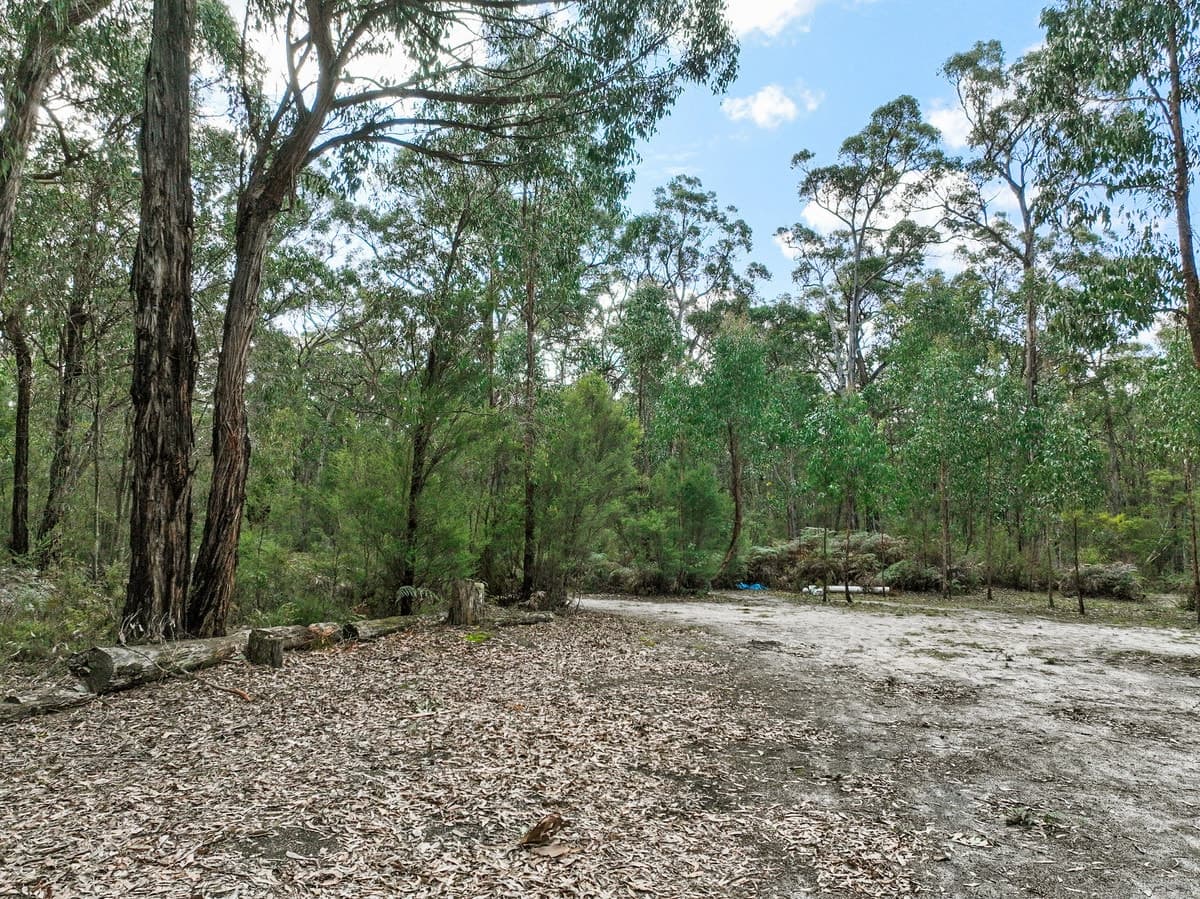 245 McCalls Road, Yeodene, VIC, Yeodene - Thumbnail 4