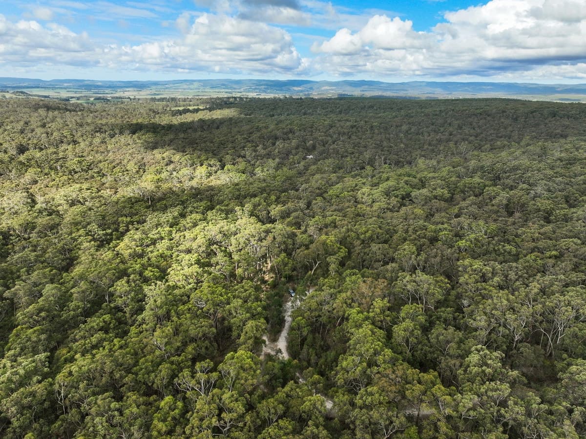 245 McCalls Road, Yeodene, VIC, Yeodene - Thumbnail 8