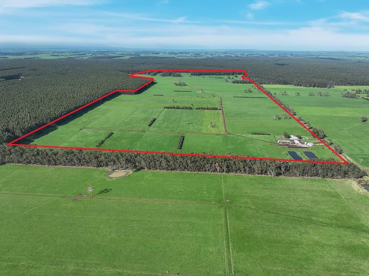 215 Horans Road, Carpendeit, VIC, Carpendeit - Image 1
