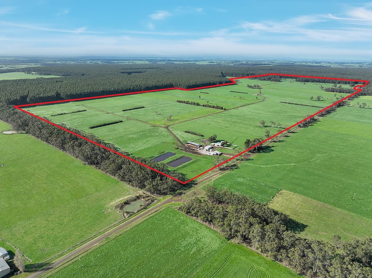 215 Horans Road, Carpendeit, VIC, Carpendeit - Thumbnail 2