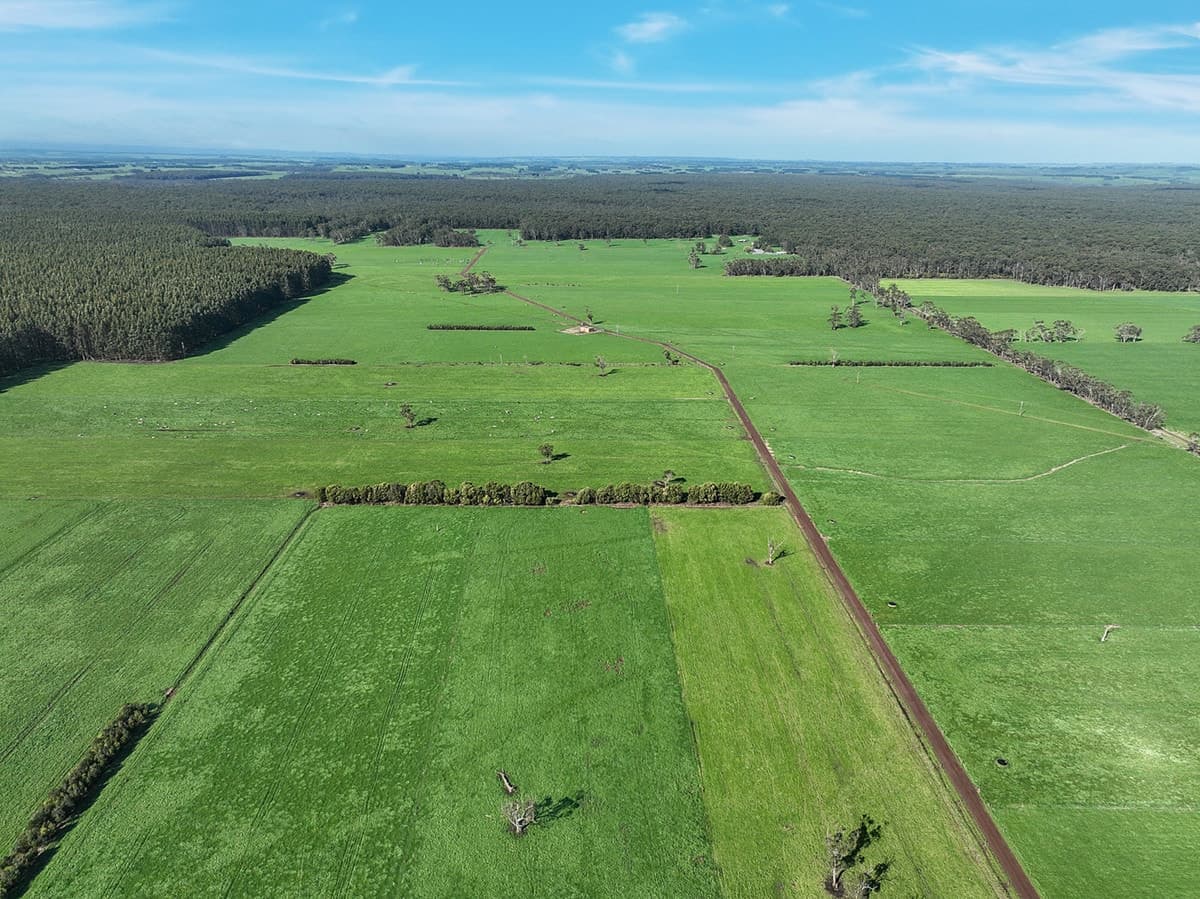 215 Horans Road, Carpendeit, VIC, Carpendeit - Thumbnail 3