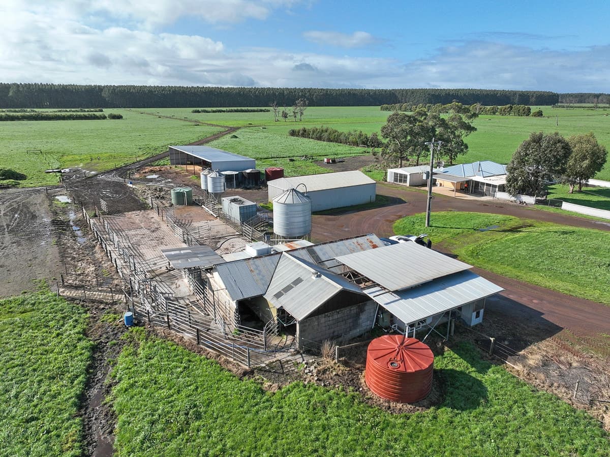 215 Horans Road, Carpendeit, VIC, Carpendeit - Thumbnail 4