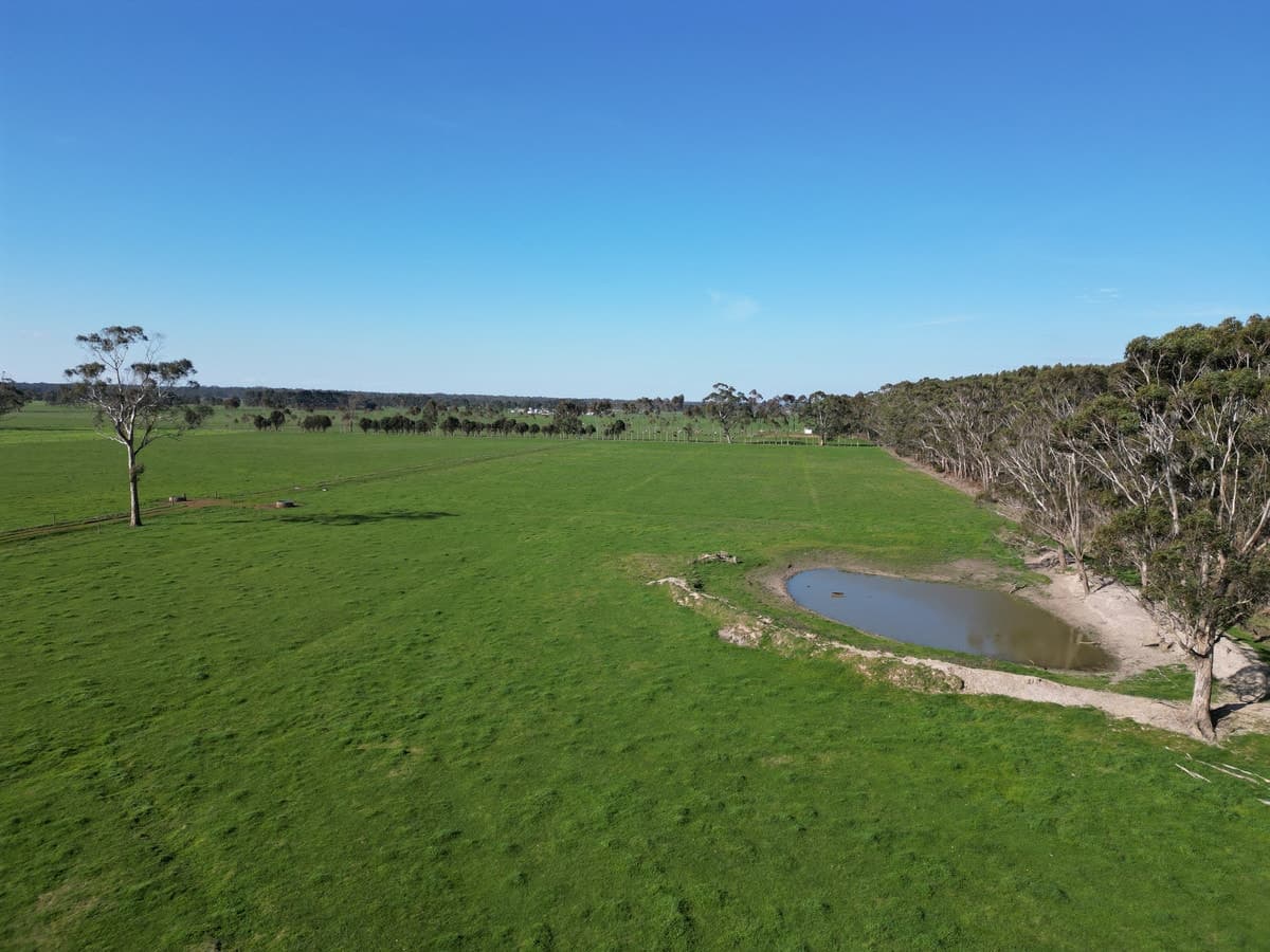 Horans Road, Carpendeit, VIC, Carpendeit - Thumbnail 2