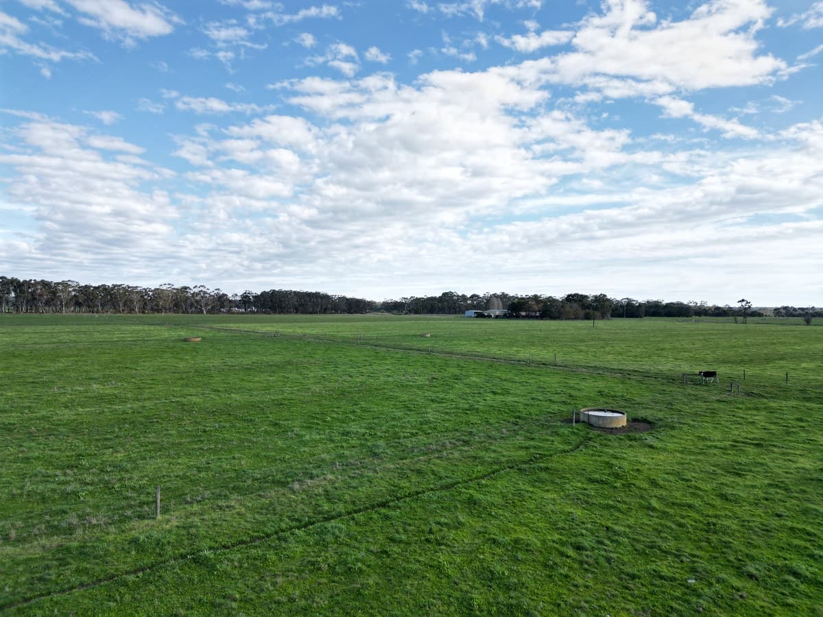 Horans Road, Carpendeit, VIC, Carpendeit - Thumbnail 4