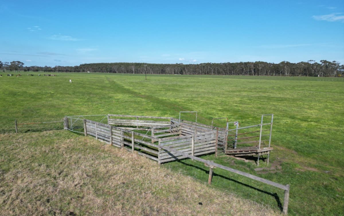 Horans Road, Carpendeit, VIC, Carpendeit - Thumbnail 5