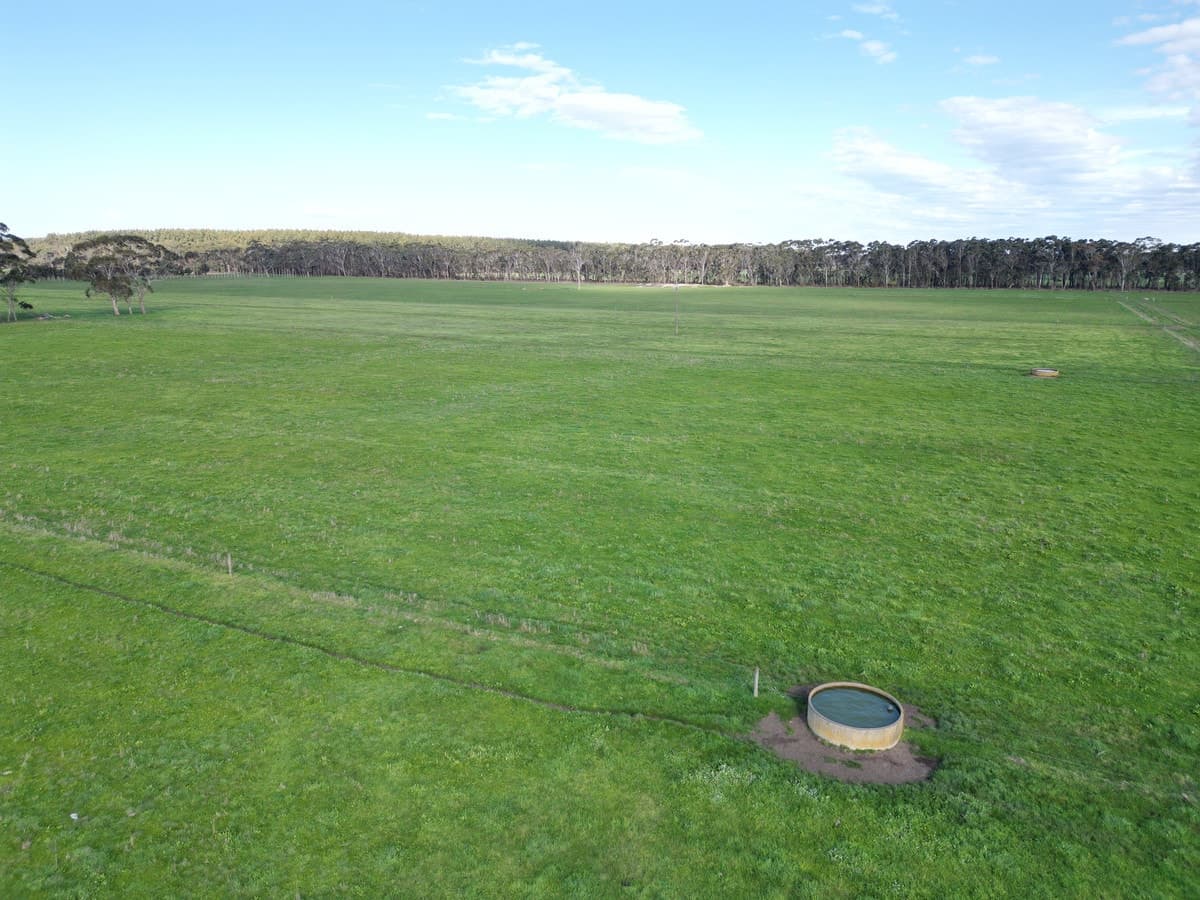 Horans Road, Carpendeit, VIC, Carpendeit - Thumbnail 6