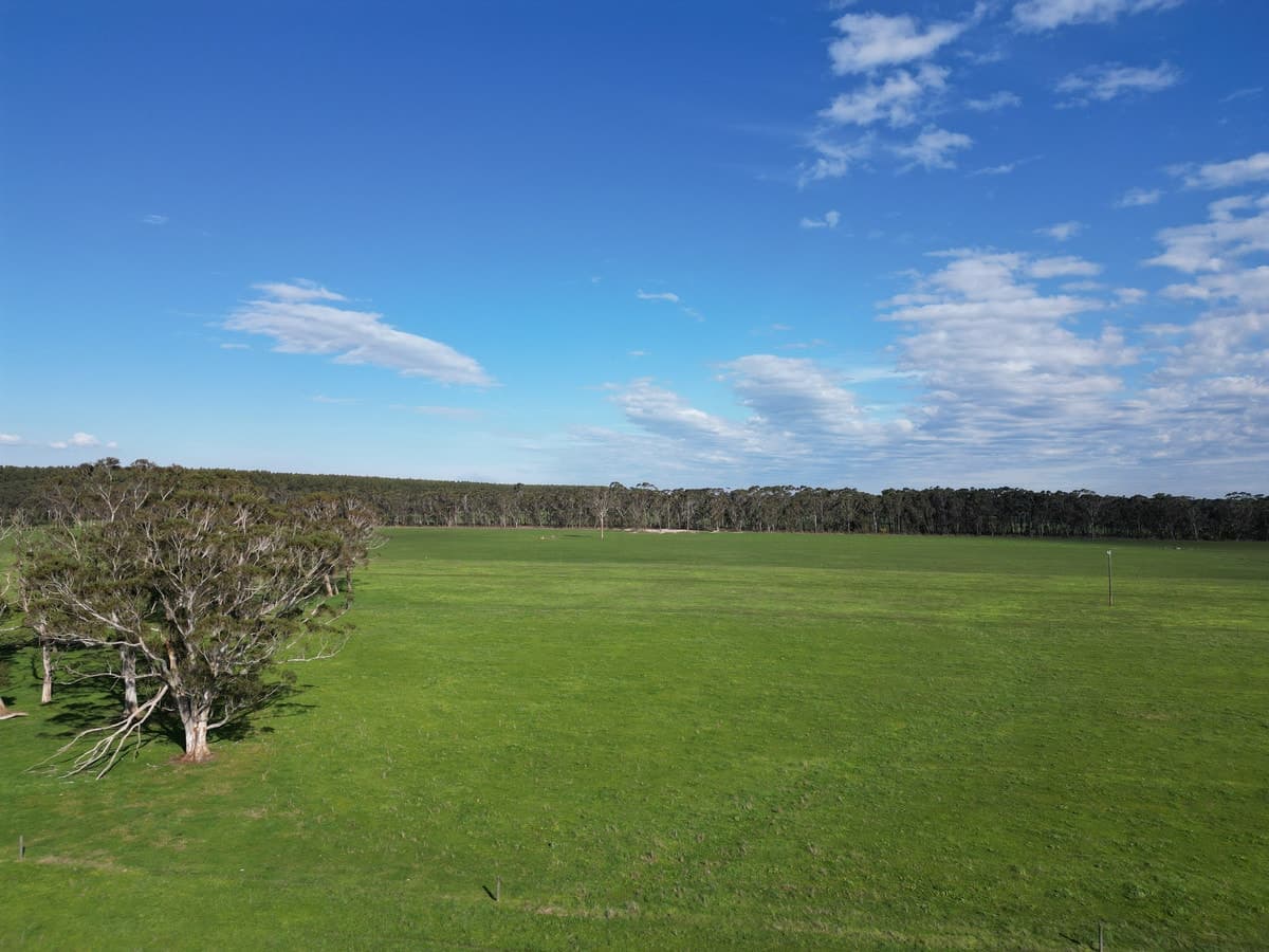 Horans Road, Carpendeit, VIC, Carpendeit - Thumbnail 7