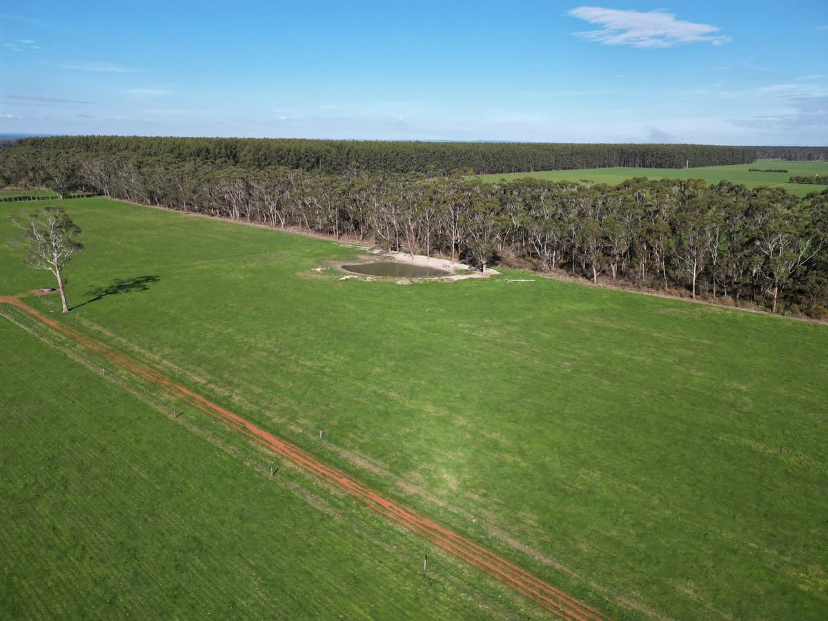 Horans Road, Carpendeit, VIC, Carpendeit - Thumbnail 8