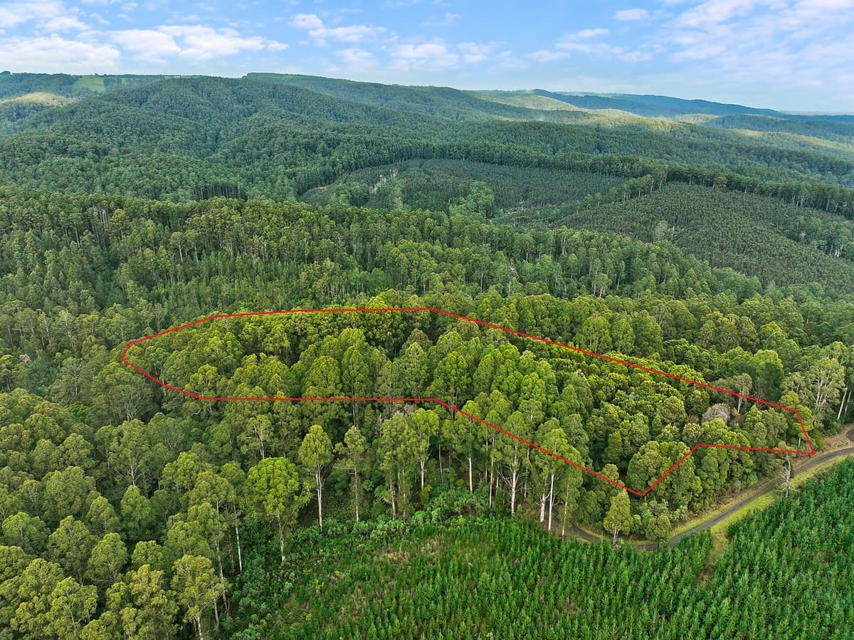 30 Carlisle Valley Road, Carlisle River, VIC, Carlisle River - Image 1