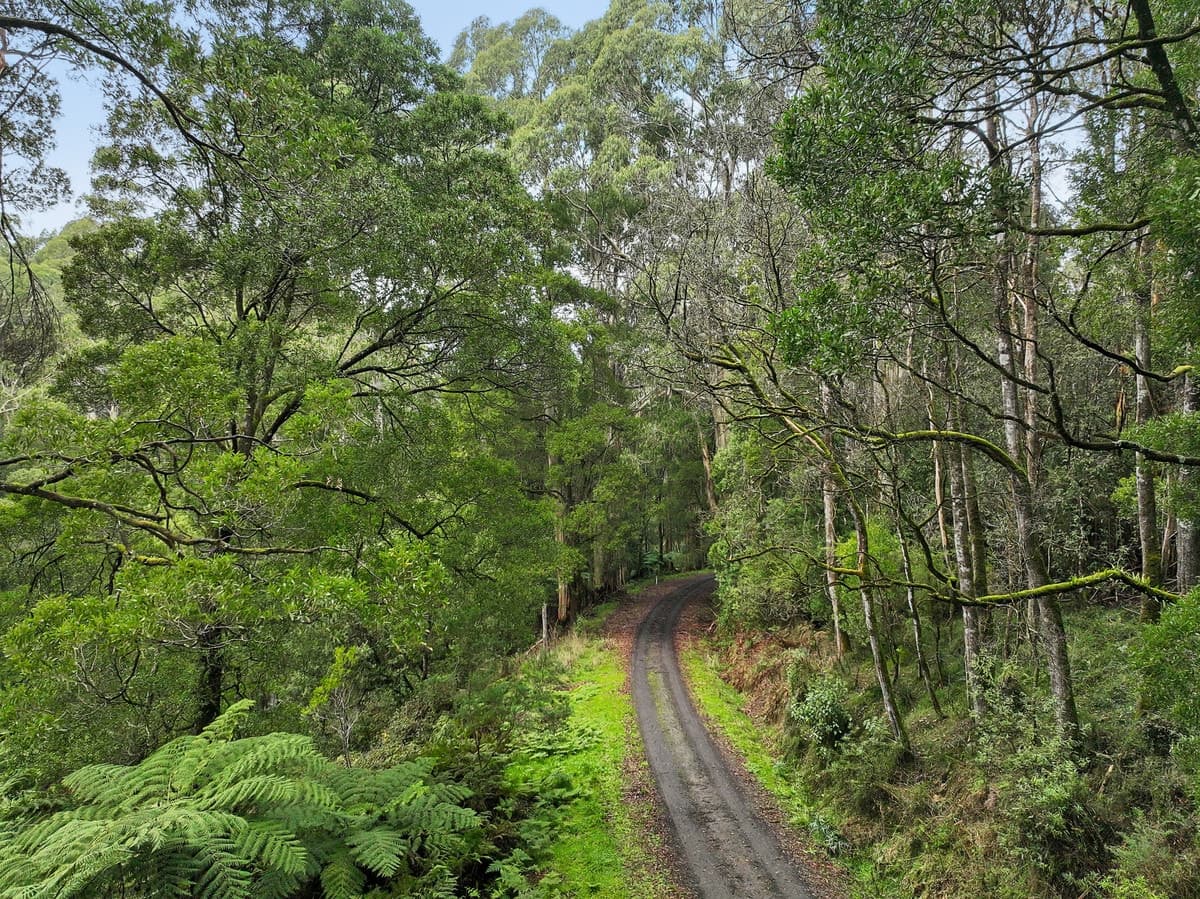 30 Carlisle Valley Road, Carlisle River, VIC, Carlisle River - Thumbnail 2