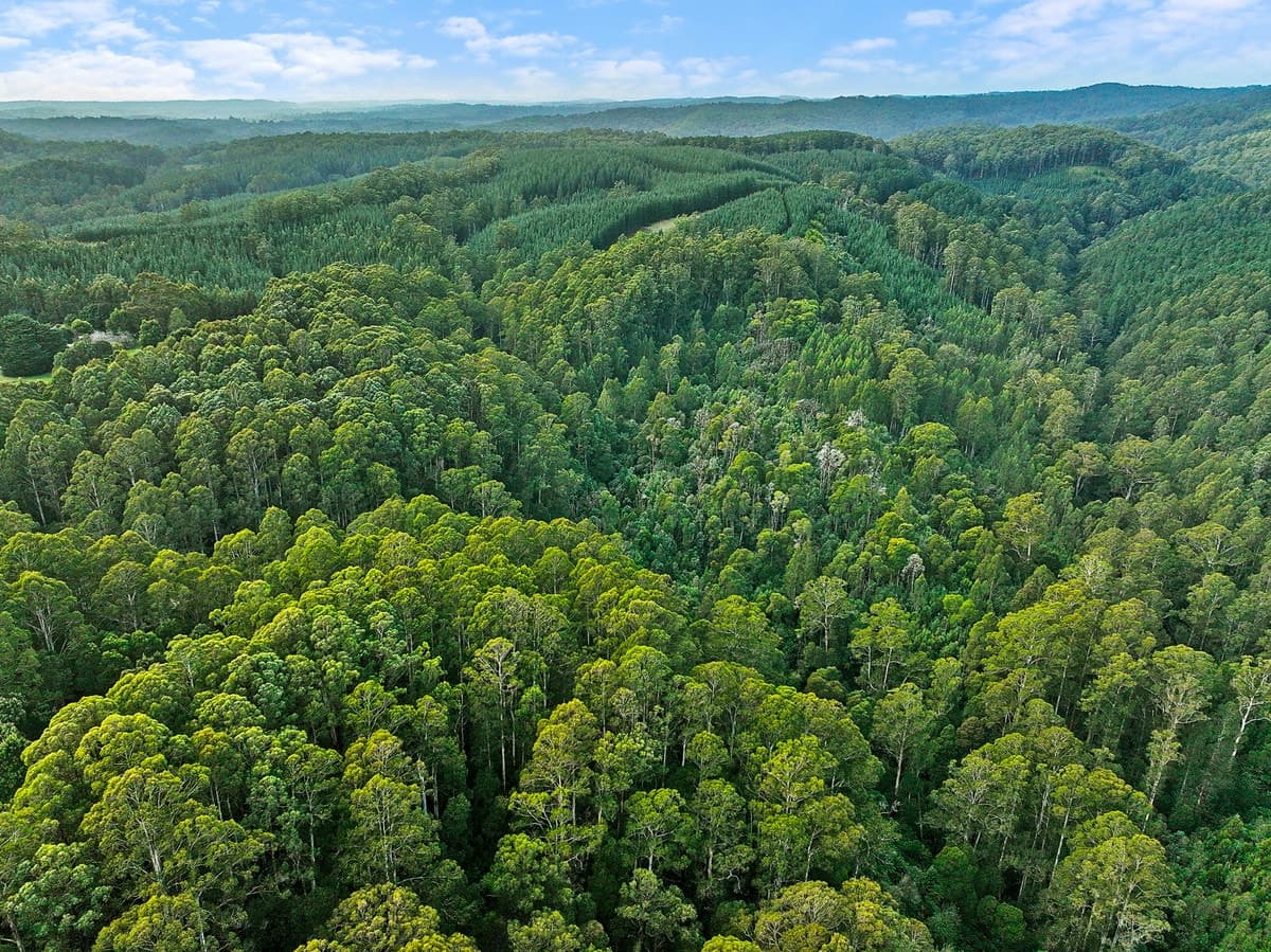 30 Carlisle Valley Road, Carlisle River, VIC, Carlisle River - Thumbnail 3