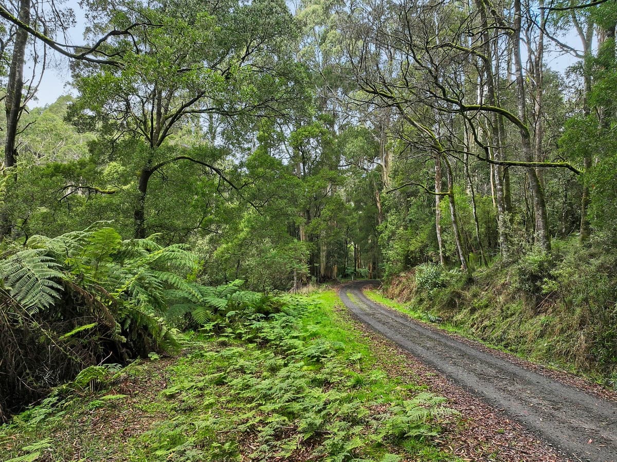 30 Carlisle Valley Road, Carlisle River, VIC, Carlisle River - Thumbnail 5