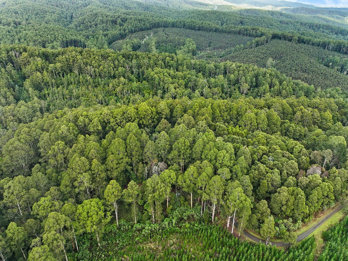 30 Carlisle Valley Road, Carlisle River, VIC, Carlisle River - Thumbnail 7