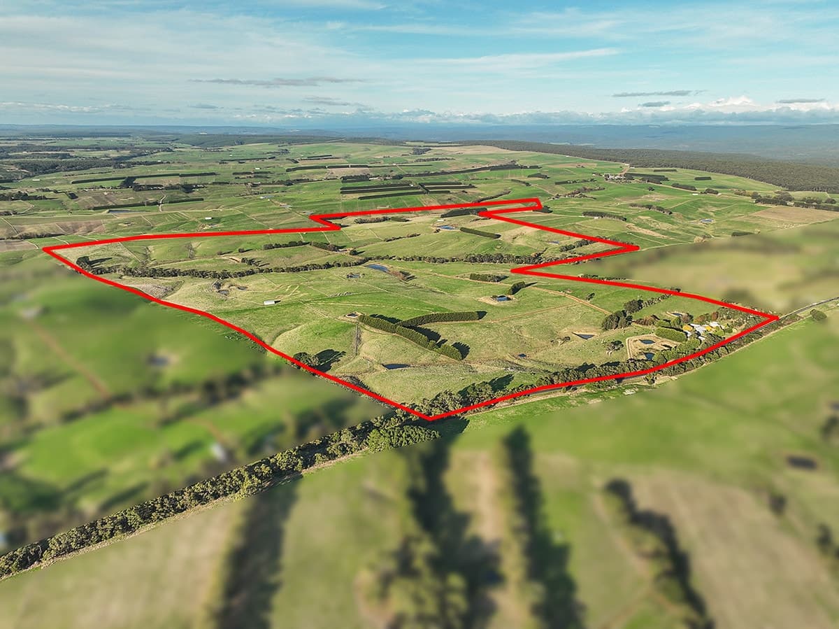 3119 Lavers Hill-Cobden Road, Simpson, VIC, Simpson - Thumbnail 2