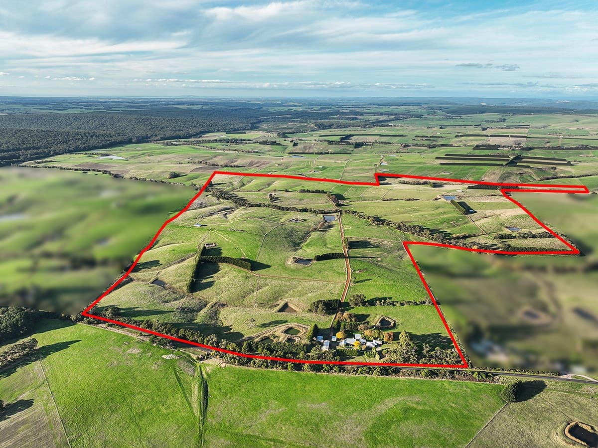3119 Lavers Hill-Cobden Road, Simpson, VIC, Simpson - Thumbnail 3