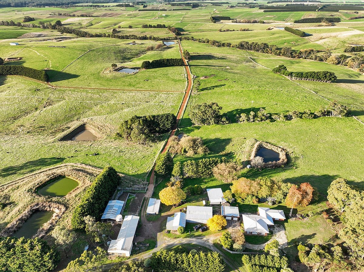 3119 Lavers Hill-Cobden Road, Simpson, VIC, Simpson - Thumbnail 4