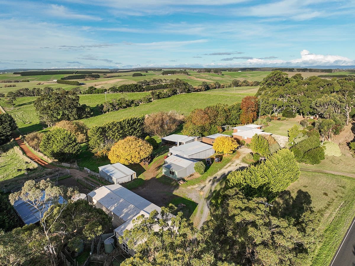 3119 Lavers Hill-Cobden Road, Simpson, VIC, Simpson - Thumbnail 5