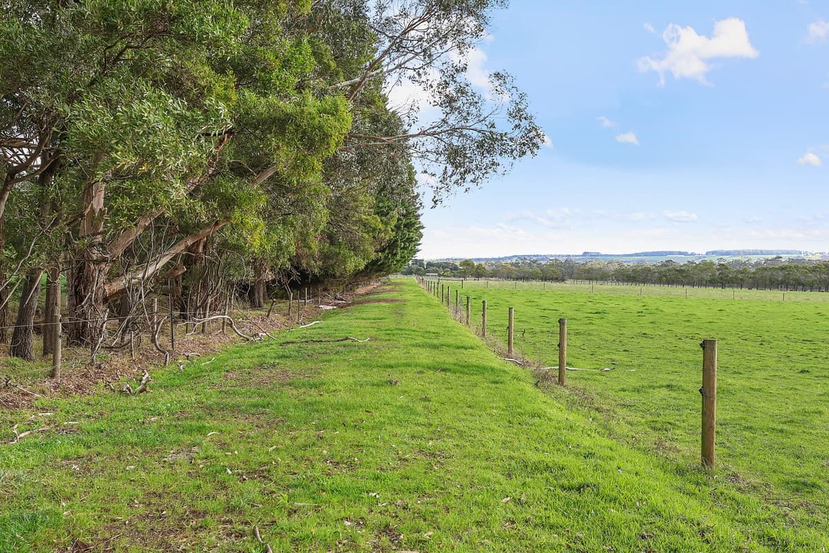 40 Couchs Road, Scotts Creek, VIC, Scotts Creek - Thumbnail 3