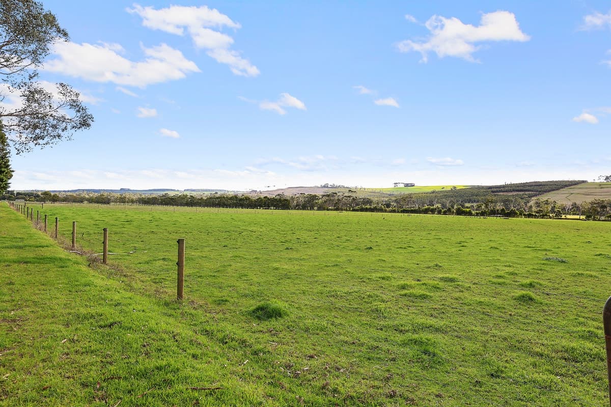 40 Couchs Road, Scotts Creek, VIC, Scotts Creek - Thumbnail 4