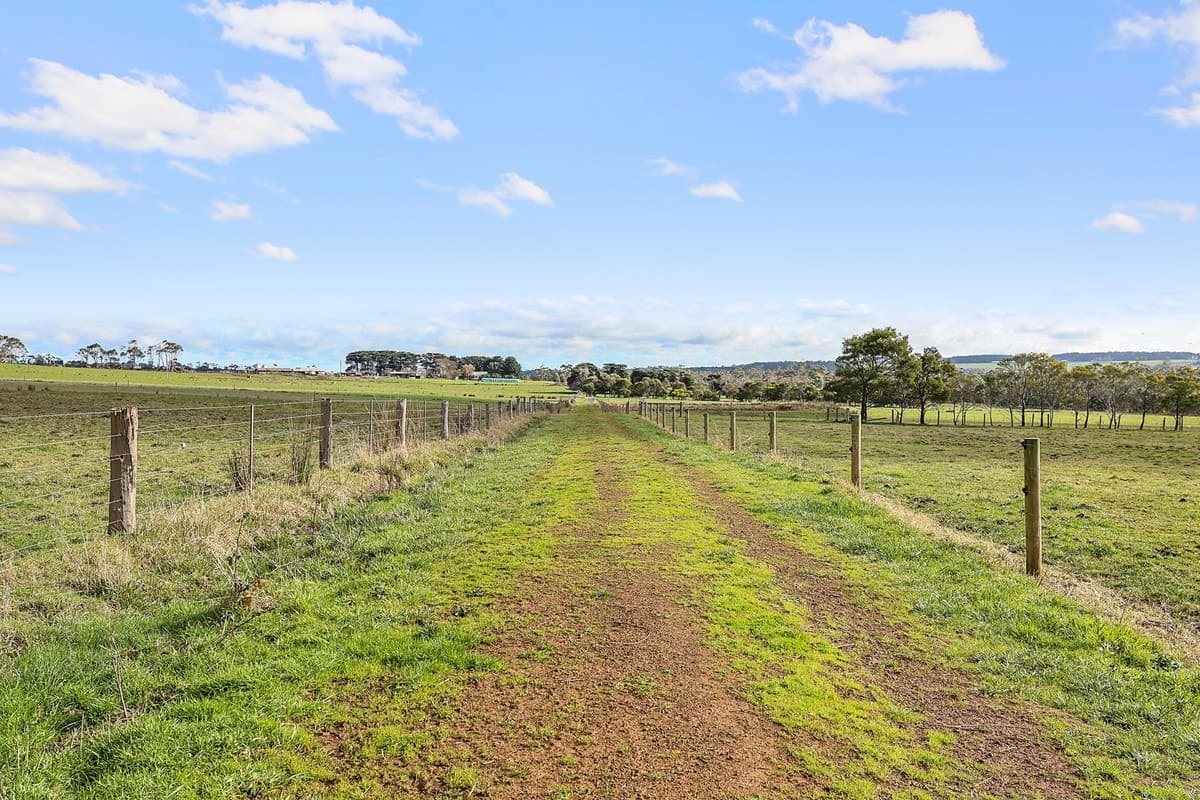 40 Couchs Road, Scotts Creek, VIC, Scotts Creek - Thumbnail 7