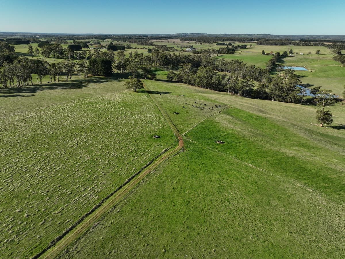 183 Rankins Road, Irrewillipe, VIC, Irrewillipe - Thumbnail 6