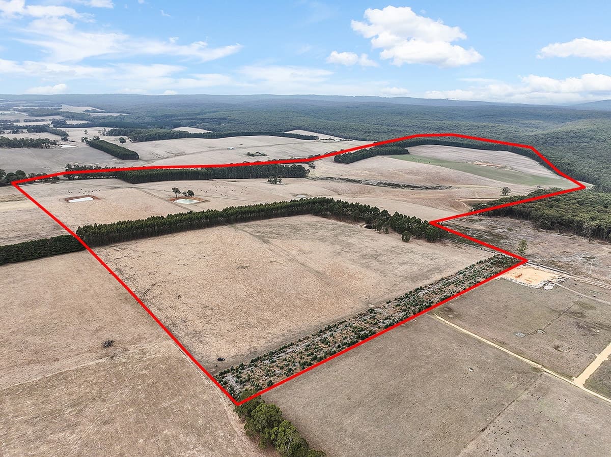 Flannagans Road, Irrewillipe East, VIC, Irrewillipe East - Image 1