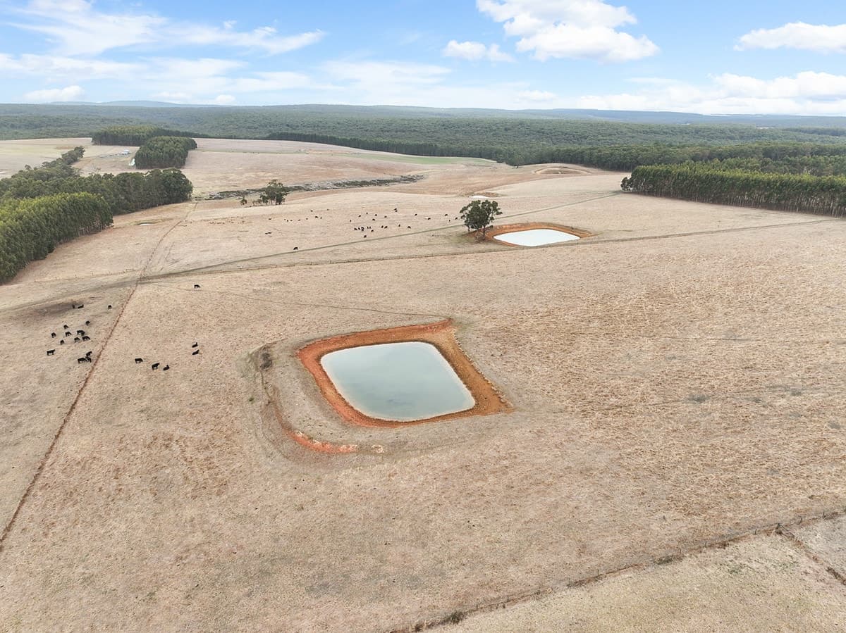 Flannagans Road, Irrewillipe East, VIC, Irrewillipe East - Thumbnail 3
