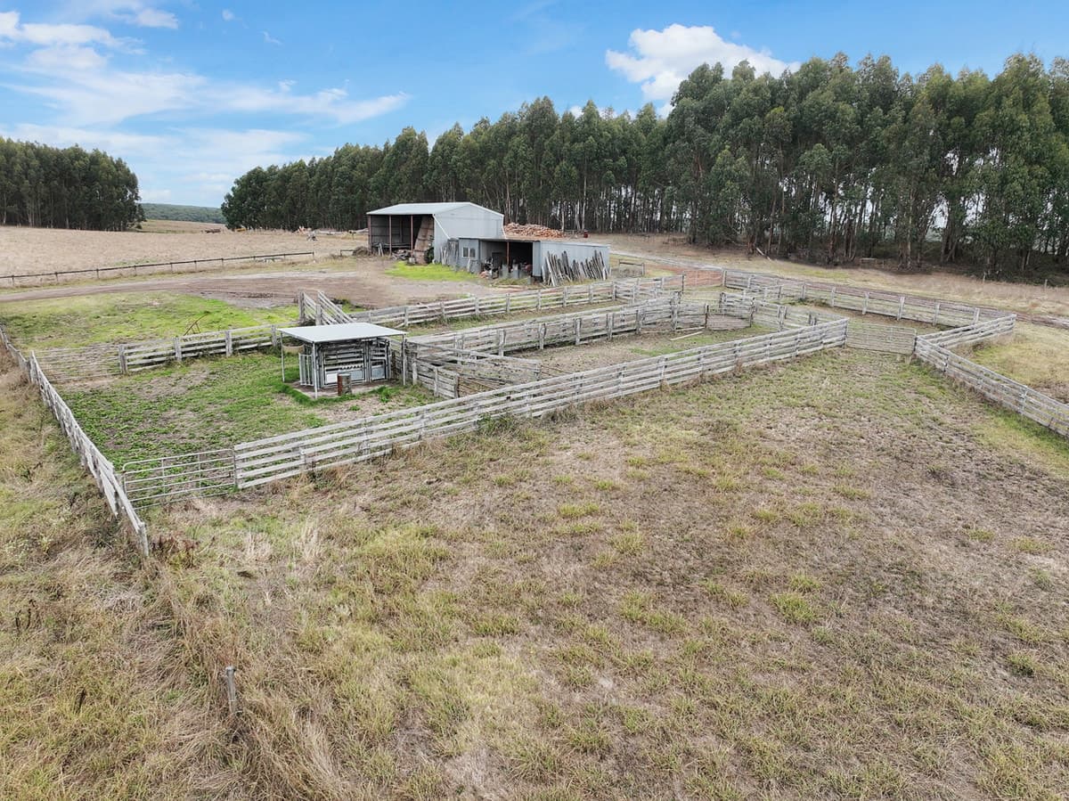 Flannagans Road, Irrewillipe East, VIC, Irrewillipe East - Thumbnail 6