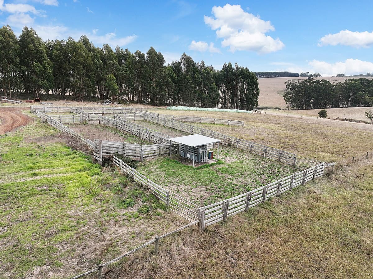 Flannagans Road, Irrewillipe East, VIC, Irrewillipe East - Thumbnail 7