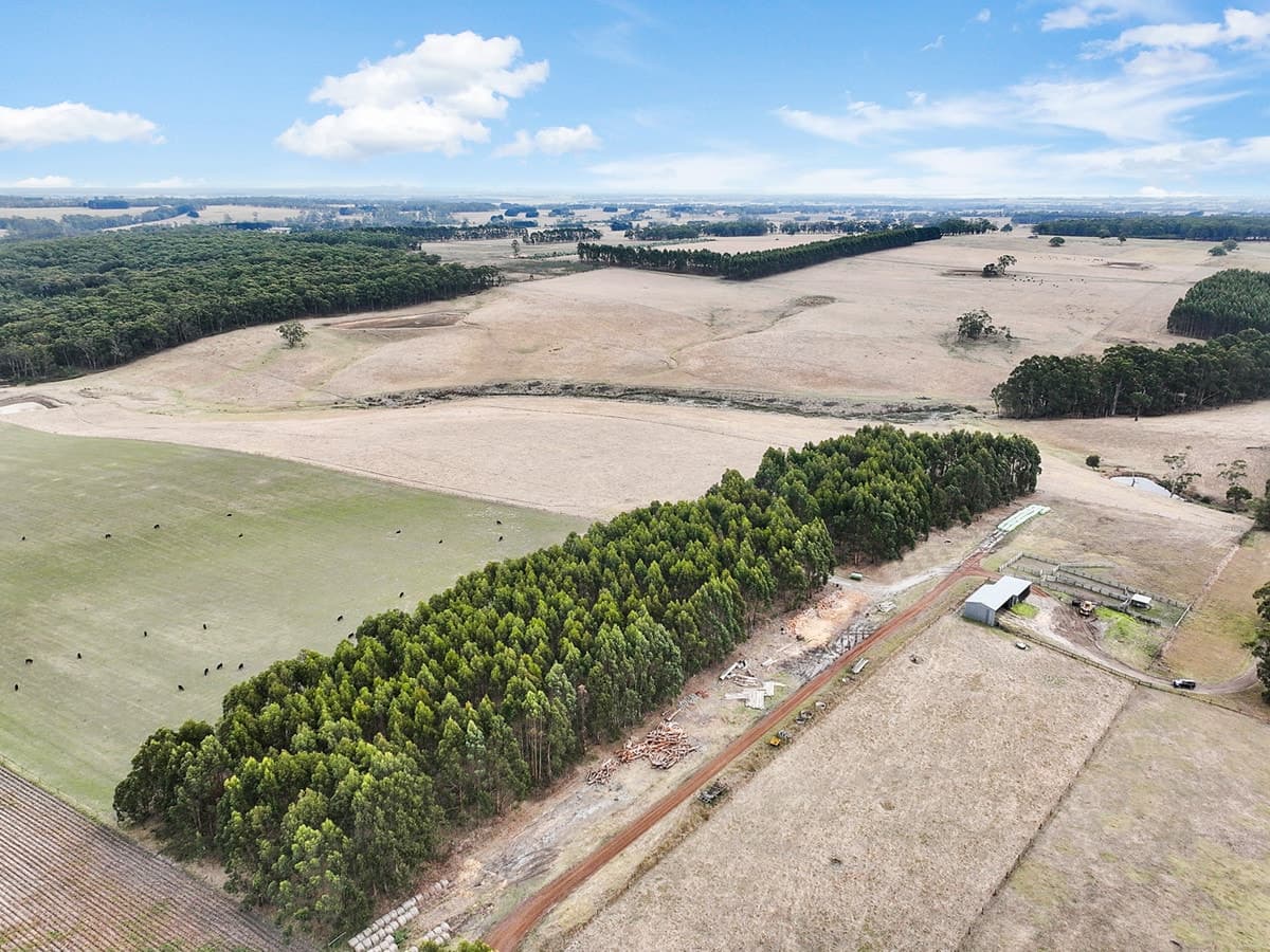 Flannagans Road, Irrewillipe East, VIC, Irrewillipe East - Thumbnail 8