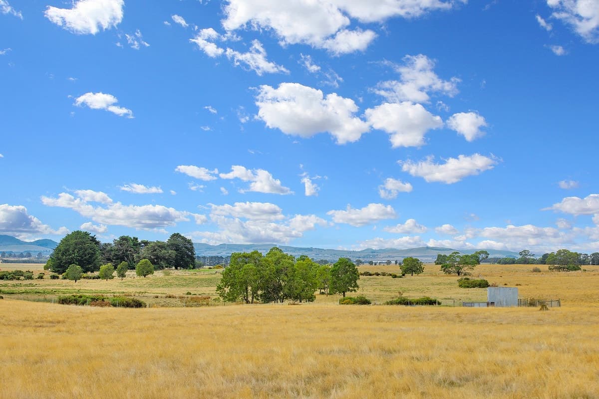 Browns Lane, Snake Valley, VIC, Snake Valley - Thumbnail 2