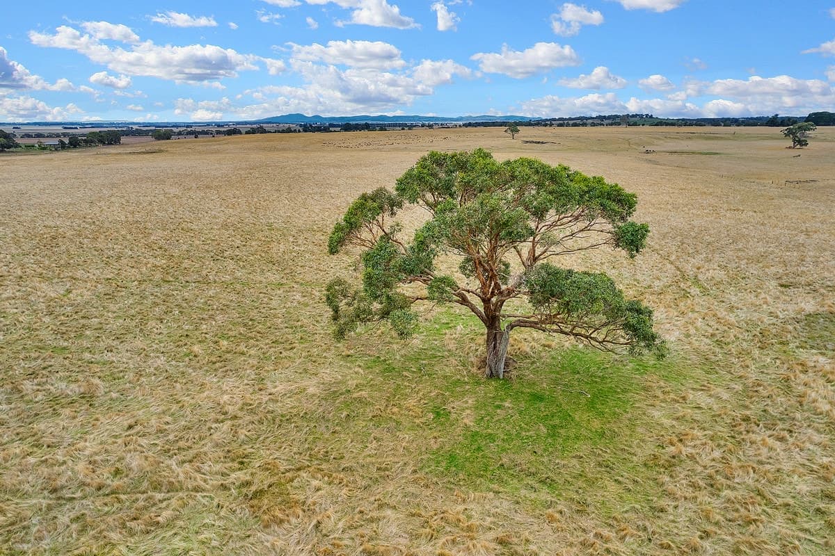 Browns Lane, Snake Valley, VIC, Snake Valley - Thumbnail 6