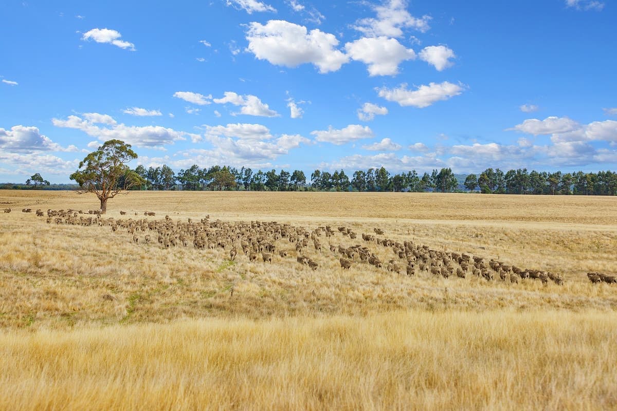 Browns Lane, Snake Valley, VIC, Snake Valley - Thumbnail 7
