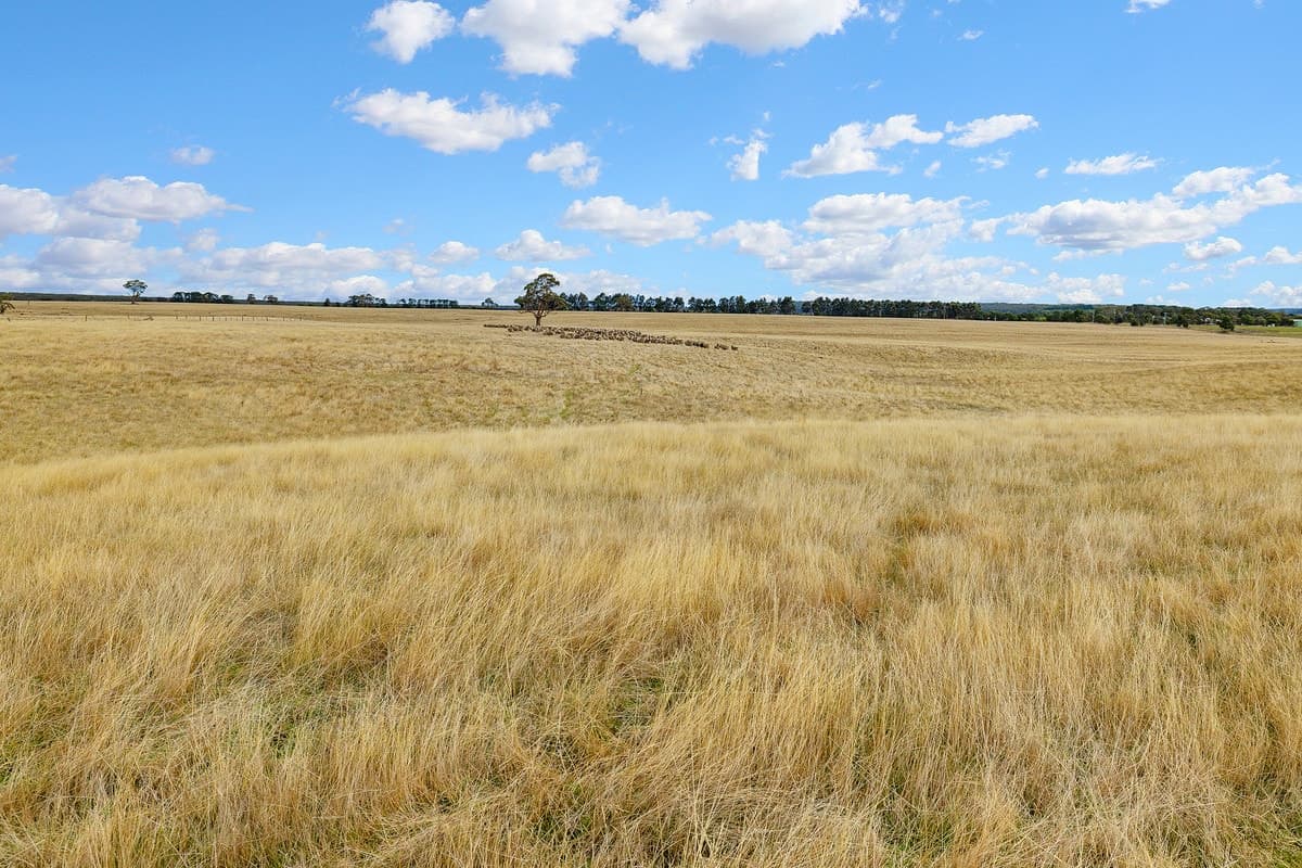 Browns Lane, Snake Valley, VIC, Snake Valley - Thumbnail 8
