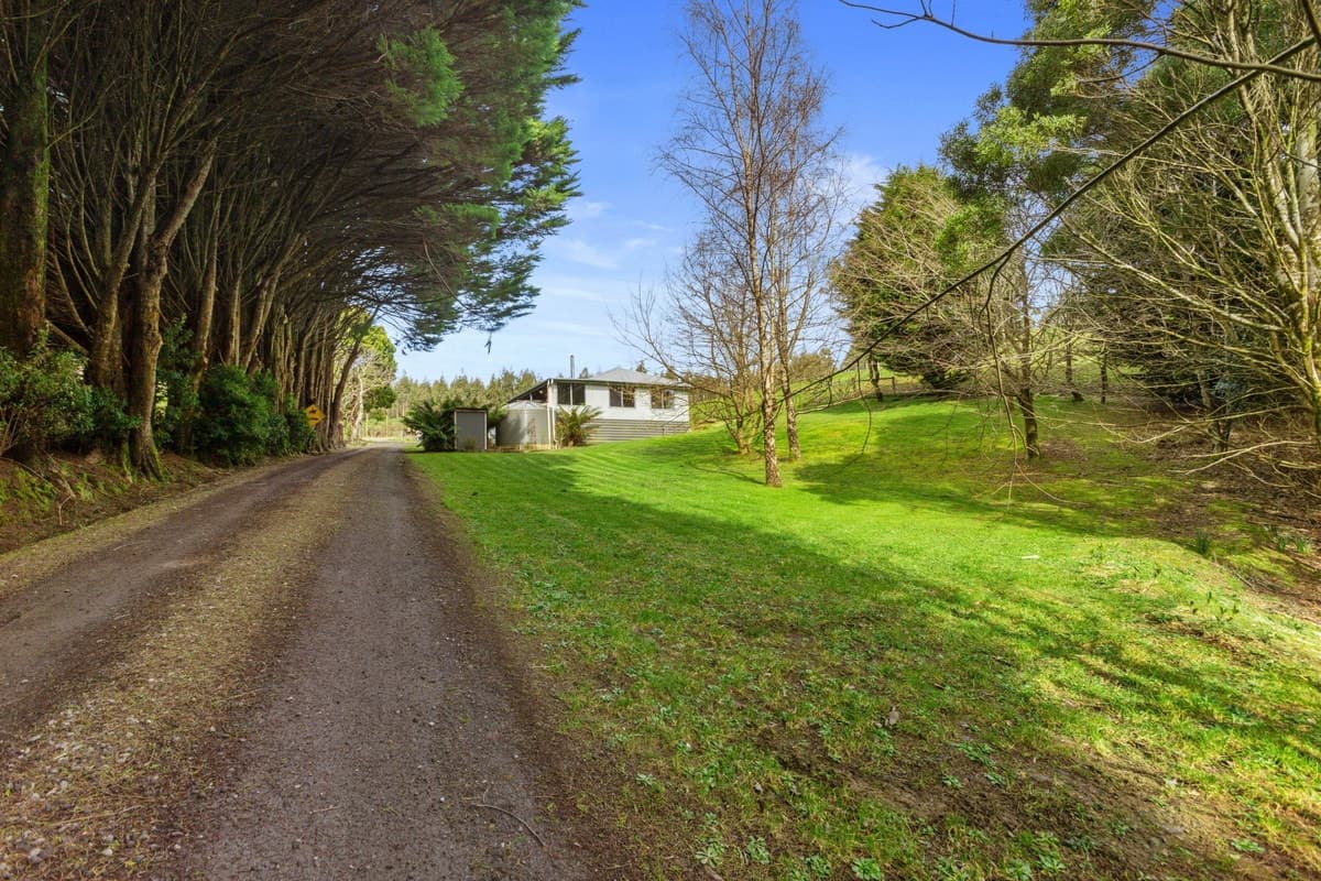 1010 Skenes Creek Road, Tanybryn, VIC, Tanybryn - Thumbnail 2