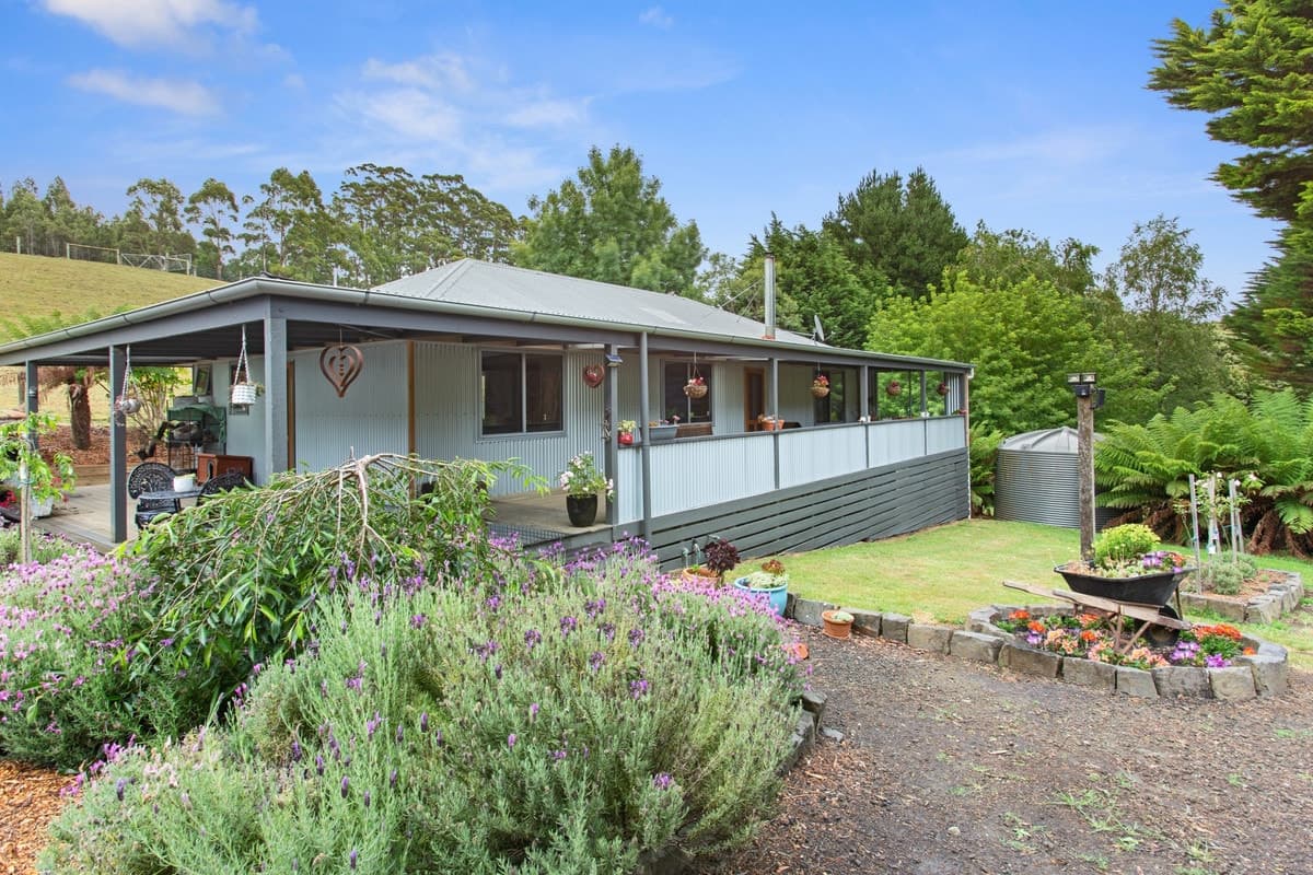 1010 Skenes Creek Road, Tanybryn, VIC, Tanybryn - Thumbnail 5