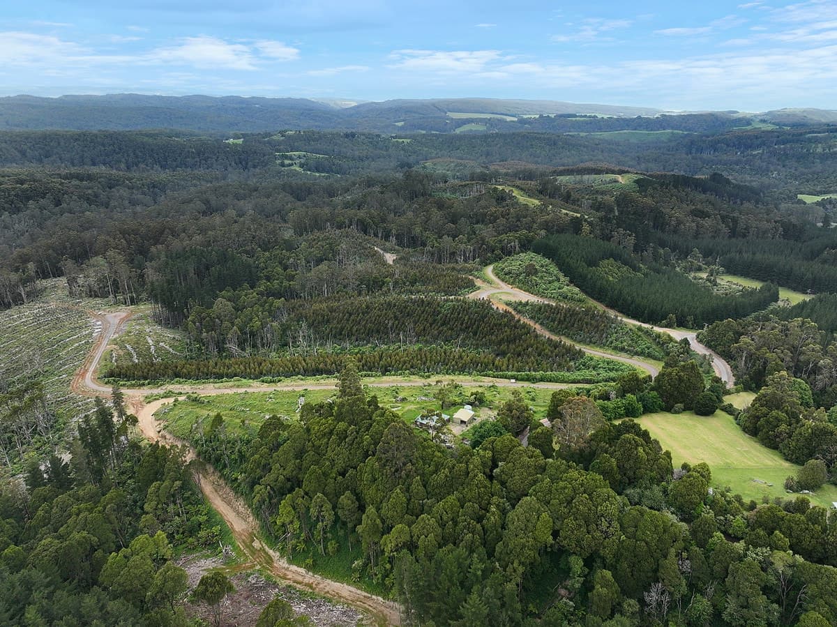 555 Amiets Road, Wyelangta, VIC, Wyelangta - Image 1