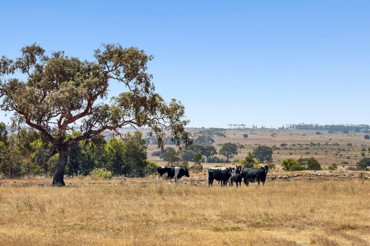 65 Gifkins Road,, Little River, VIC, Little River - Thumbnail 2