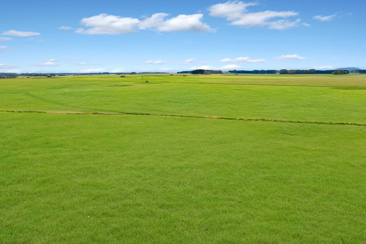 200 Ridge Road, Garvoc, VIC, Garvoc - Thumbnail 8
