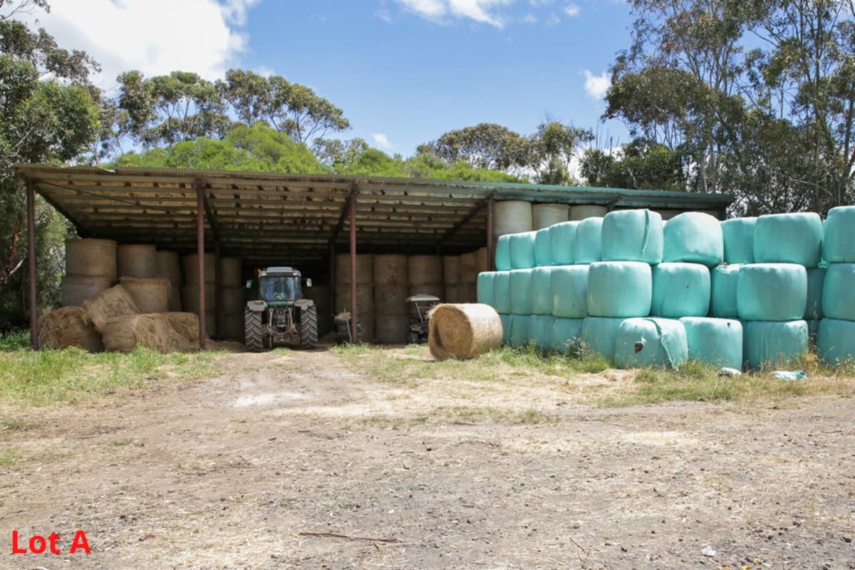 4165 Cape Otway Road, Birregurra, VIC, Birregurra - Thumbnail 6