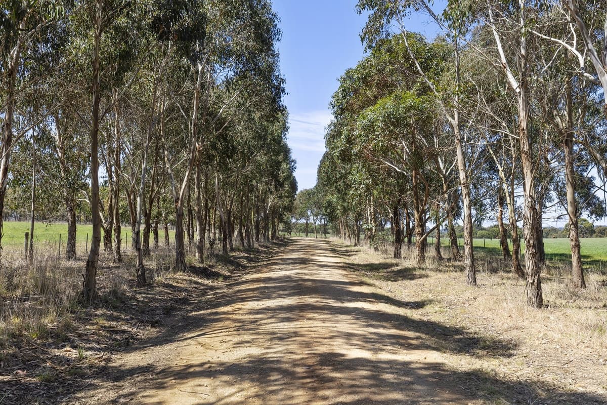 575 Willowite Road, Freshwater Creek, VIC, Freshwater Creek - Thumbnail 2