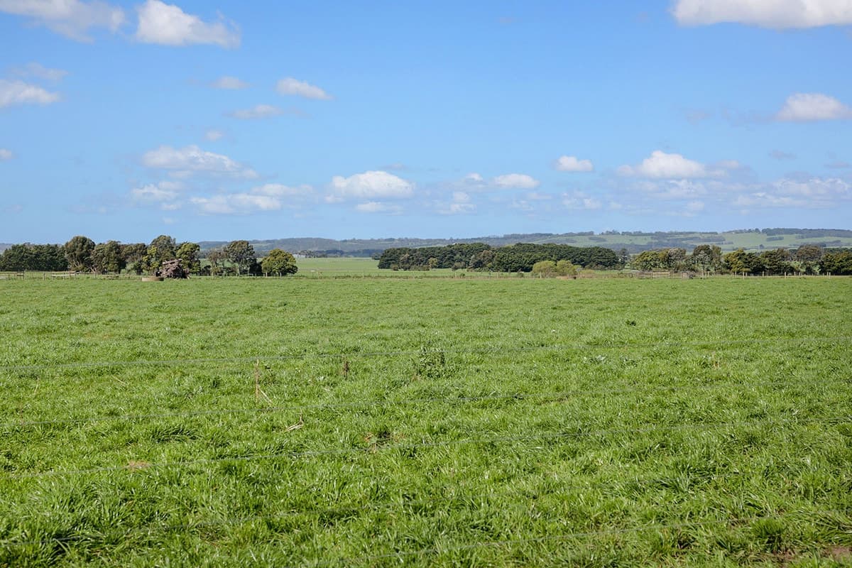 119 Middletons Road, Larpent, VIC, Larpent - Thumbnail 2
