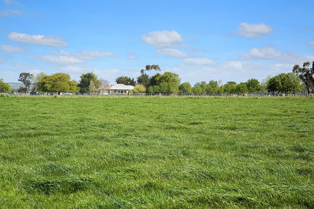 119 Middletons Road, Larpent, VIC, Larpent - Thumbnail 4