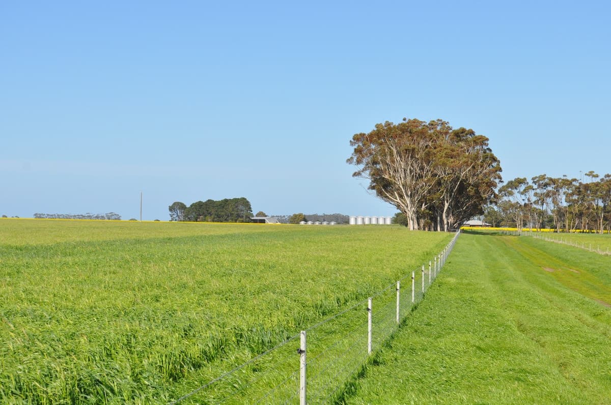 305 Berrybank-Wallinduc Road, Berrybank, VIC, Berrybank - Thumbnail 5