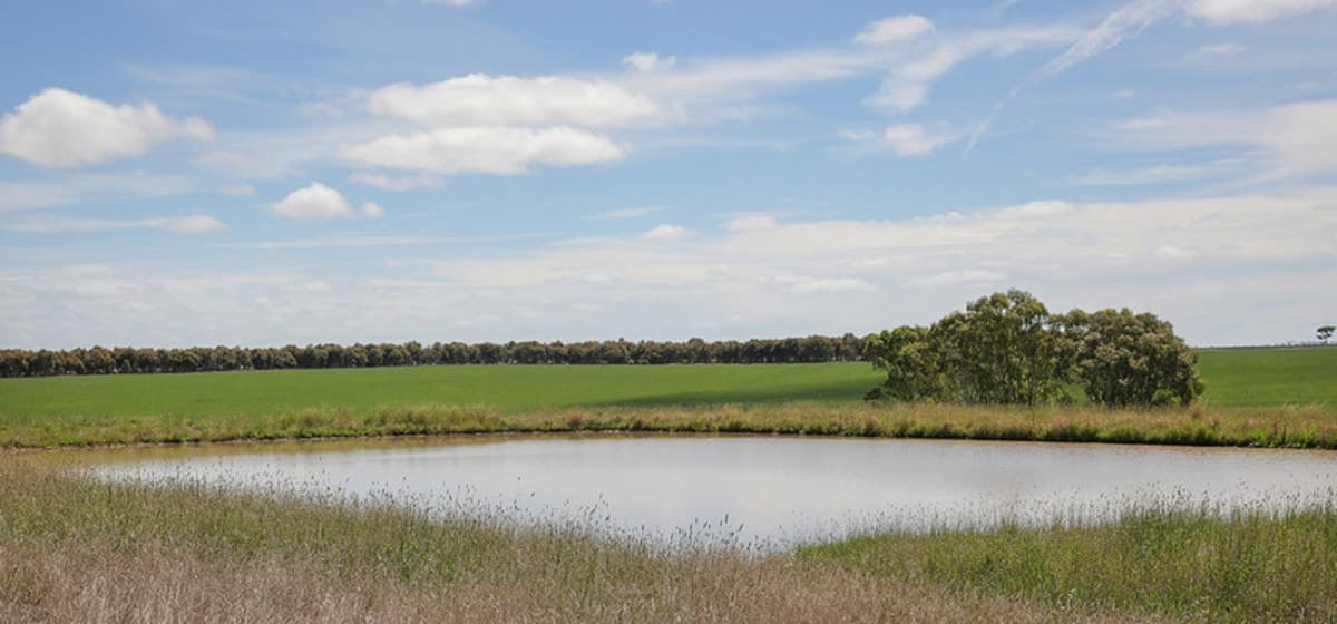 305 Berrybank-Wallinduc Road, Berrybank, VIC, Berrybank - Thumbnail 7