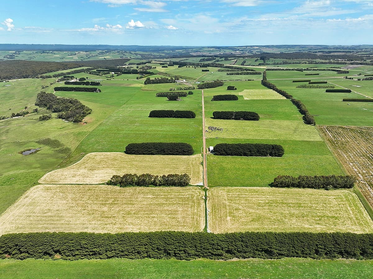225 Tomahawk Creek Road, Simpson, VIC, Simpson - Image 1