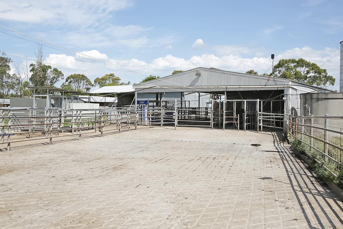 225 Tomahawk Creek Road, Simpson, VIC, Simpson - Thumbnail 7